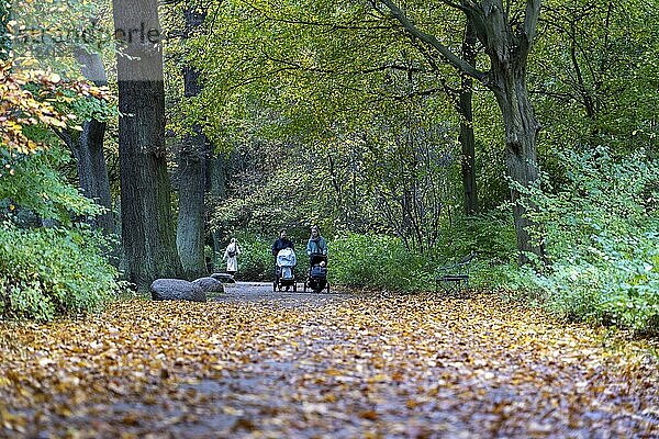 Kopenhagen  Dänemark  04. November 2022: Menschen genießen einen Spaziergang in den Frederiksberg Gärten im Herbst  Europa