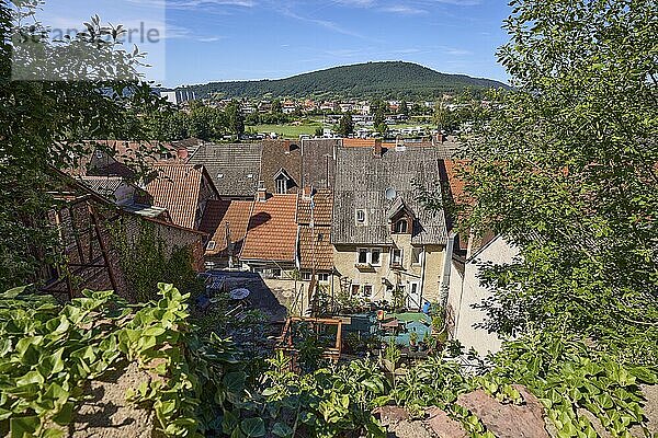 Old wall with ivy (Hedera helix) and view of the roofs and landscape from the Schlossgasse in Miltenberg  Lower Franconia  Miltenberg district  Bavaria  Germany  Europe