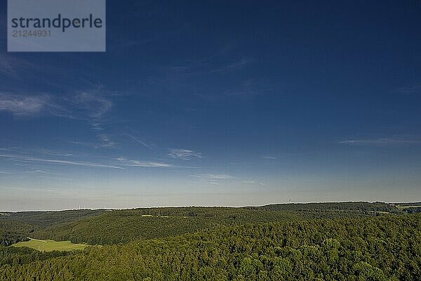 Forest landscape from the air