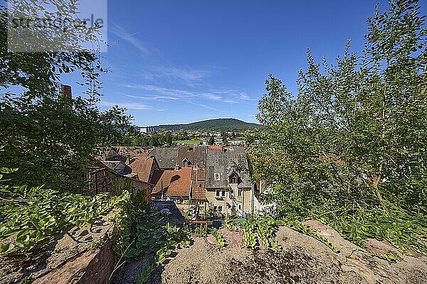 Old wall with ivy (Hedera helix) and view of the roofs and landscape from the Schlossgasse in Miltenberg  Lower Franconia  Miltenberg district  Bavaria  Germany  Europe