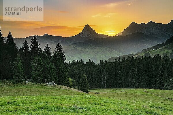 Morgendliche Aussicht von der Sattelegg mit Chöpfenberg  Tierberg und Bockmattli m Hintergrund  Kanton Schwyz  Schweiz  Europa