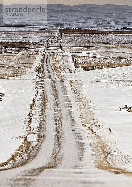 Prairie Landscape in winter Saskatchewan Canada scenic