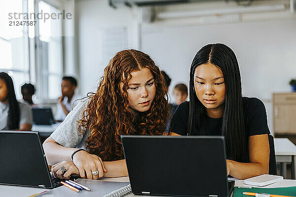 Focused female friends studying on laptop while sitting in classroom at junior high school