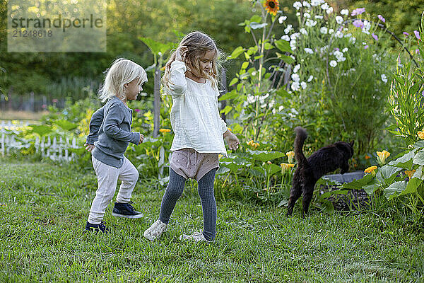 Two young children playfully chase a black cat in a lush garden at dusk.