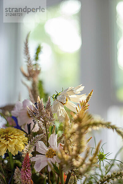 A vibrant floral arrangement featuring a mix of daisies and other wildflowers bathed in soft natural light  set against a blurred window background.