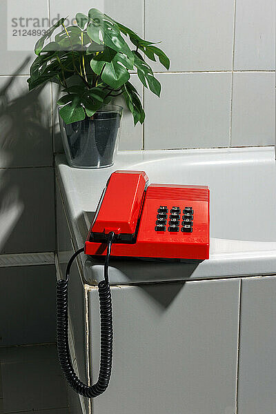 Red retro telephone in vintage style bathroom with potted plant.