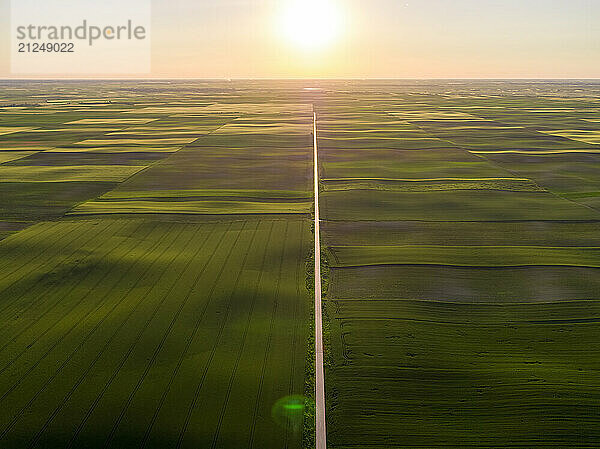 Drone shot of green agricultural farm fields at sunset in Vojvodina  Serbia.