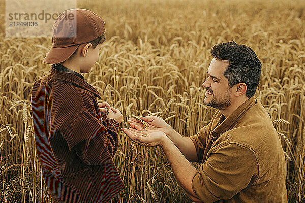 Father farmer showing his little son a wheat spikelet on a field.