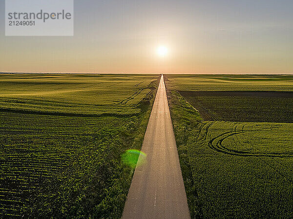 Drone shot of green agricultural farm fields at sunset in Vojvodina  Serbia.