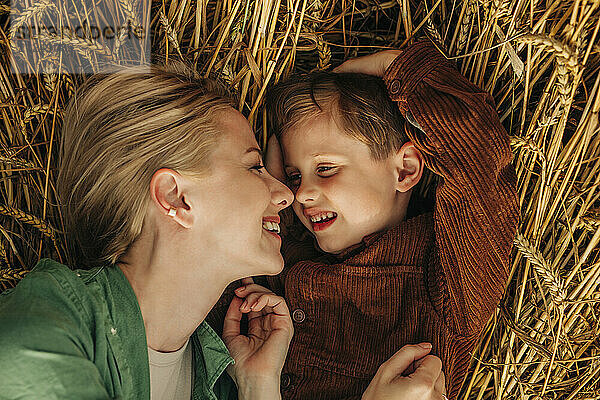 Mother and son lying on a wheat field  smiling and bonding  top view.