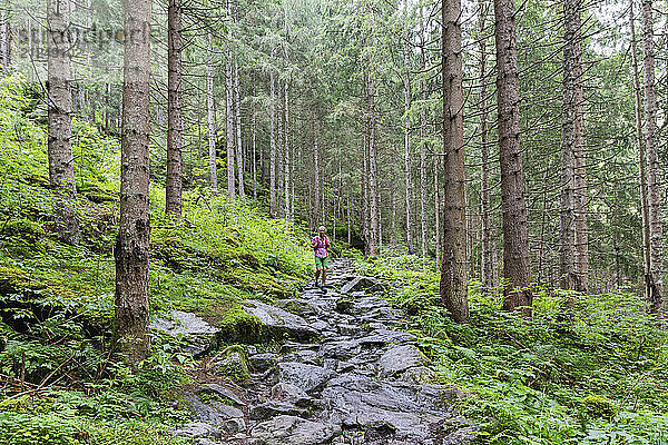 Woman hiking on stony path through forest in Hohe Tauern National Park  Austria.