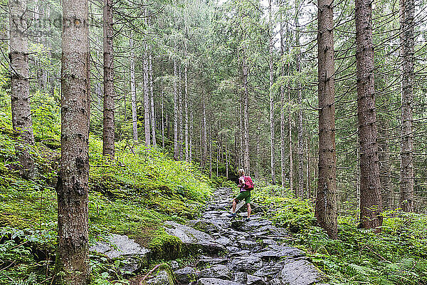 Person resting on hiking trail in Hohe Tauern National Park  Salzburg Province  Austria.