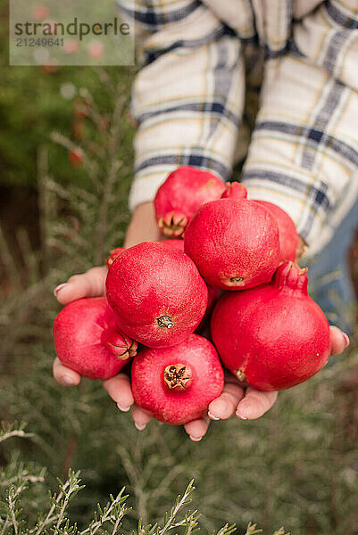 Woman holding a lot of pomegranates in her hands