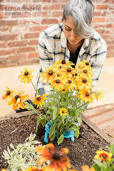 Close up of yellow daisies with woman behind