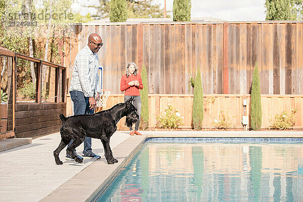 Large dog with owners near a pool