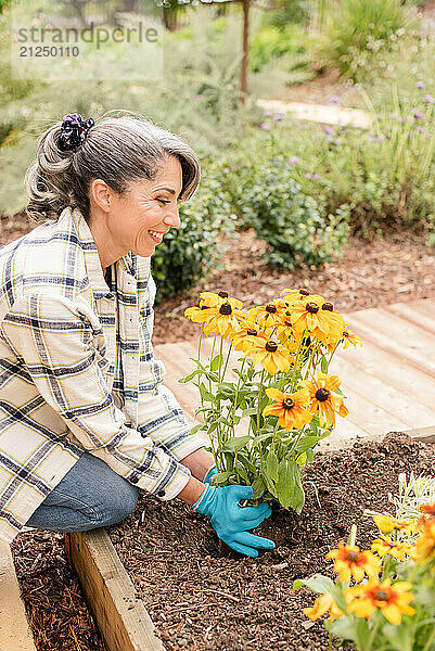 Woman smiling while planting daisies