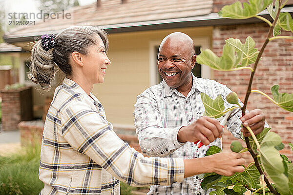 Couple smiling at each other in front of a tree