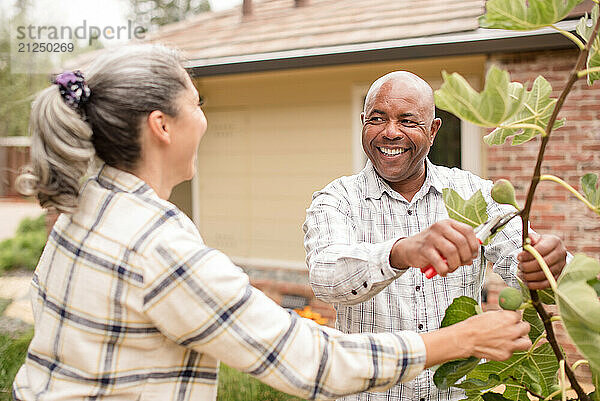 Man smiling at woman about to cut a fig