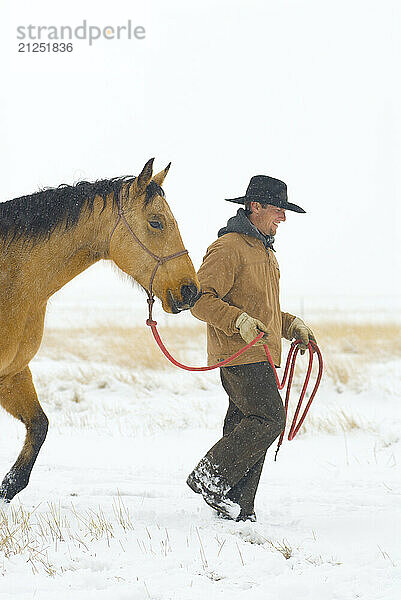 A young man walks through the snow with his horses at a ranch in Three Forks  Montana.