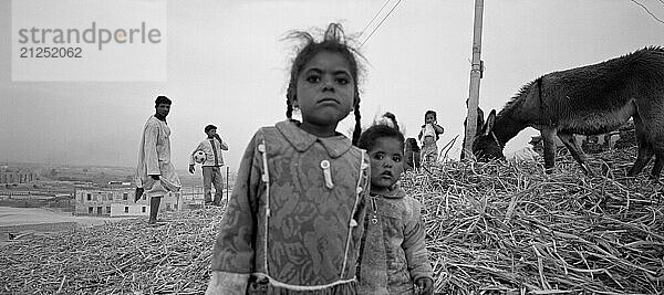 Children and animals standing on a hill in el-Qurna  Egypt