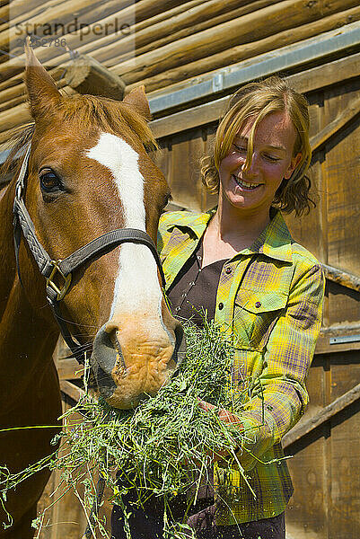 A young woman feeds her horse at a ranch in Wilson  Wyoming.