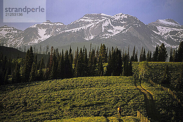 A mountain biker rides a dirt road below the high  snowy peaks of the Gros Ventre Mountains in Wyoming.