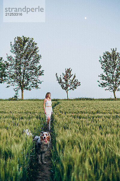 Woman and shepherd dog walking in field together on a summer evening