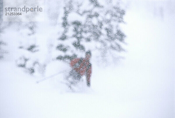 Stan Czarniak skis through light powder snow during a snowstorm on Teton Pass in Jackson Hole  Wyoming. (Photo by Jeff Diener/ Aurora)