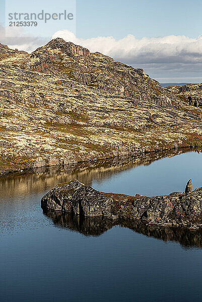 Frozen Arctic Stones Under Clear Sky