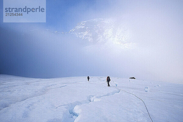 Climbers crossing dangerous crevasse fields in the fog on the Winthop Glacier while approaching the popular Liberty Ridge on the North side of Washingon's Mt. Rainier. Mount Rainier National Park is in the Cascades Mounain Range near Seattle  and is very popular for skiing and mountaineering.