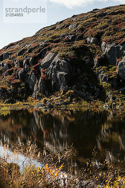 Arctic Stones: Silence of the North