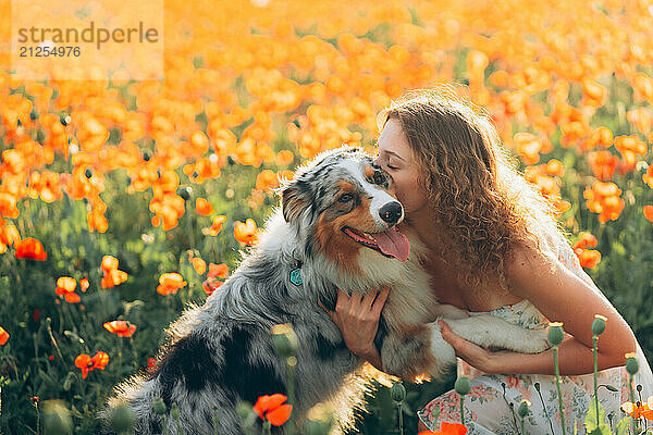 Young woman kissing Australian Shepherd dog in poppy field