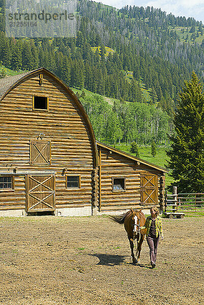 A young woman walks her horse at a ranch in Wilson  Wyoming.