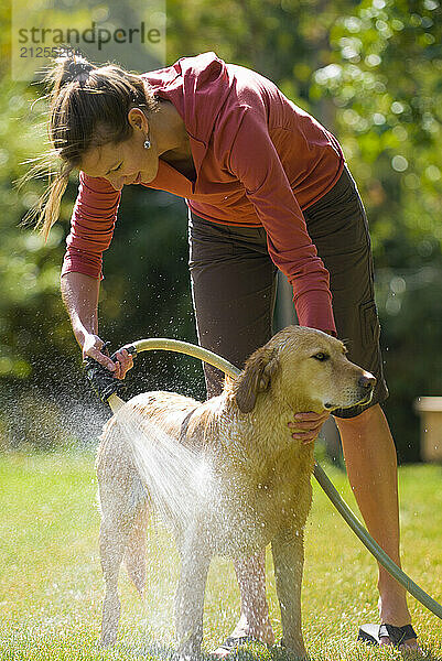 A young woman washes her dog in Jackson  Wyoming.