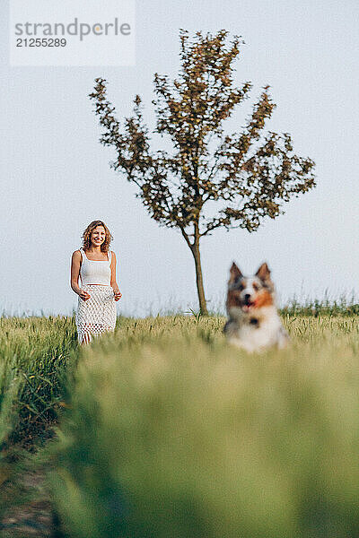 Fun time together  man and dog  summer evening