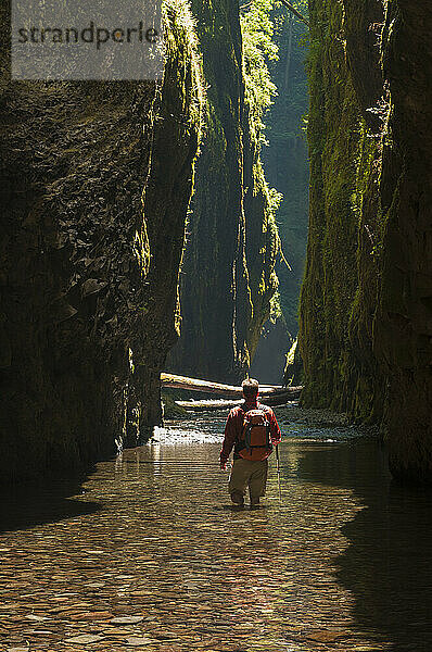 A young man hikes in Oneonta Gorge within the Columbia River Gorge  Oregon.