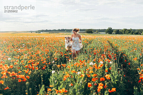 Young woman with Australian Shepherd dog in poppy field