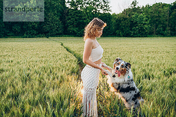 vibrant green rye field  capturing the bond between humans and pets