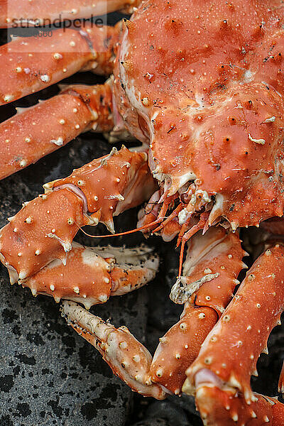 Savoring the Flavor: Kamchatka Crabs