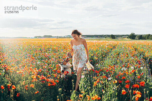 woman and australian shepherd dog in poppy field on a sunny day