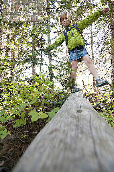 An elementary aged girl balances on a log while hiking in Grand Teton National Park  Jackson Hole  Wyoming.