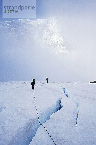 Climbers crossing dangerous crevasse fields in the fog on the Winthop Glacier while approaching the popular Liberty Ridge on the North side of Washingon's Mt. Rainier. Mount Rainier National Park is in the Cascades Mounain Range near Seattle  and is very popular for skiing and mountaineering.