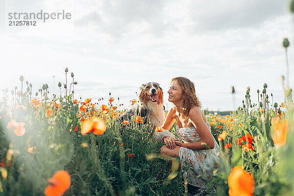 woman enjoying with her australian shepherd dog in a poppy field