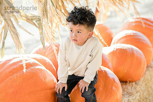 Little boy sitting on a big pumpkin