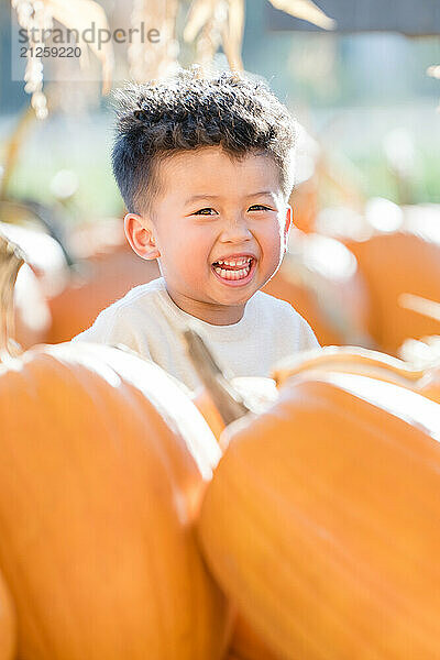 Little boy laughing behind some pumpkins