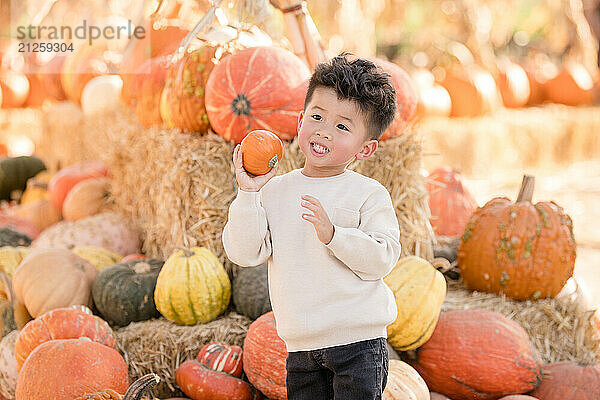 Little boy holding a pumpkin in the middle of a pumpkin patch