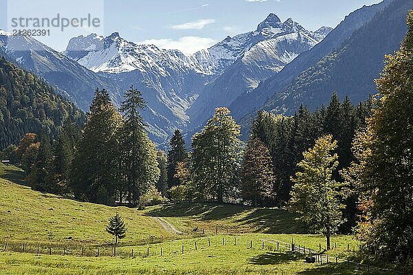 Ausblick von dOberallgäu  Allgäu  Bayern  Deutschlander Oytalstraße auf Berge der Allgäuer Alpen  Herbststimmung  herbstlich verfärbte Bäume  Oberstdorf