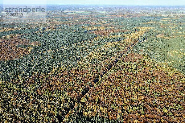 Sachsenwald  Luftbild  Herbstwald  Nutzwald  Waldsterben  Forst  Laubwald  Färbung  Indian Summer  Herbst  Landschaft  Umwelt  Wald  Steueroase  Hebesatz  Bismarck