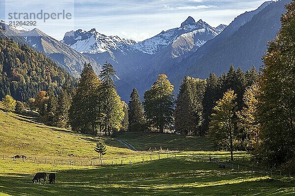 Ausblick von dOberallgäu  Allgäu  Bayern  Deutschlander Oytalstraße auf Berge der Allgäuer Alpen  Herbststimmung  herbstlich verfärbte Bäume  Oberstdorf