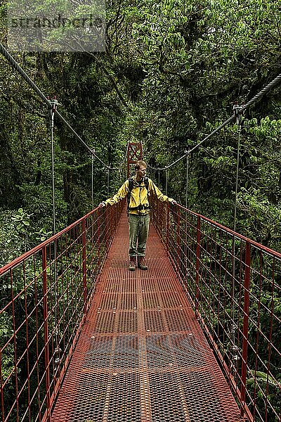 Junger Mann  Tourist auf roter Hängebrücke zwischen den Baumkronen im Regenwald  Monteverde Nebelwald  Monte Verde  Provinz Puntarenas  Costa Rica  Mittelamerika